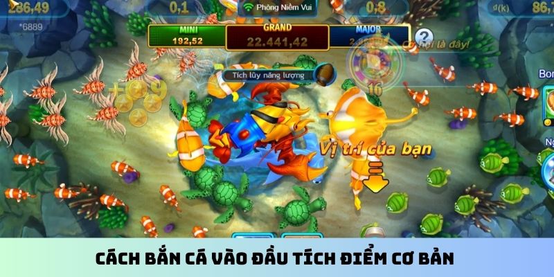 Cách bắn cá vào đầu tích điểm cơ bản