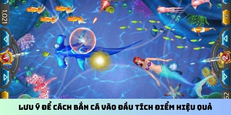 Lưu ý để cách bắn cá vào đầu tích điểm hiệu quả