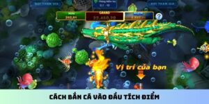 cách bắn cá vào đầu tích điểm
