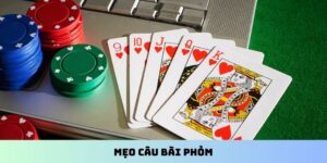 Mẹo câu bài Phỏm