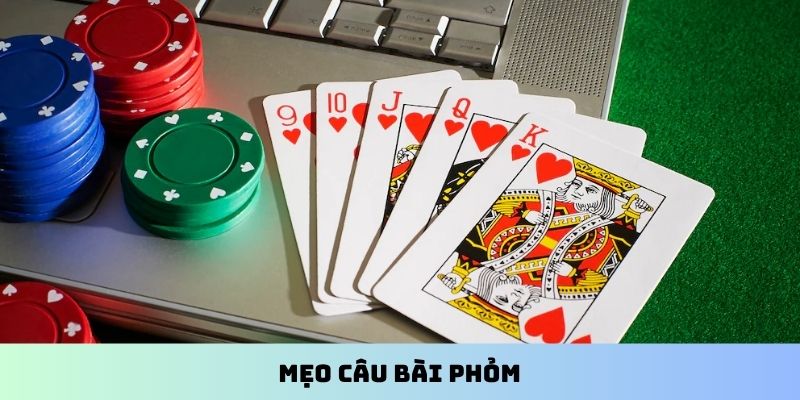 Mẹo câu bài Phỏm