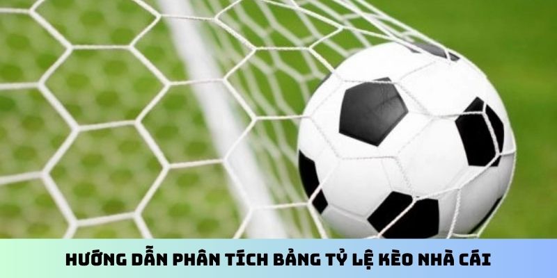 Hướng dẫn phân tích bảng tỷ lệ kèo nhà cái